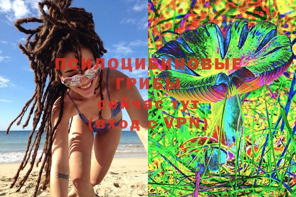 герыч Снежногорск