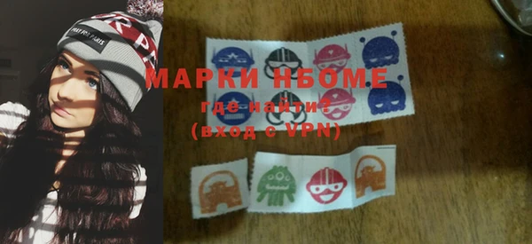 индика Снежинск