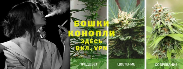 индика Снежинск